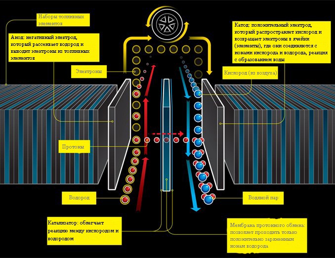 Водородный элемент. Принцип работы топливной ячейки на водороде. Принцип работы топливного элемента. Топливный элемент с протонообменной мембраной устройство. Топливный элемент на водороде принцип работы.